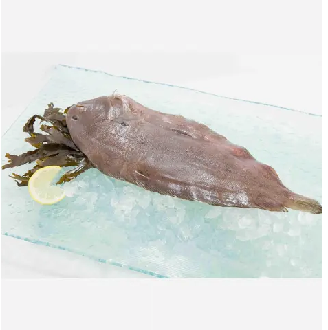 French Chilled Wild Small Sole 300g